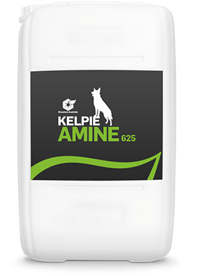 KELPIE® AMINE 625