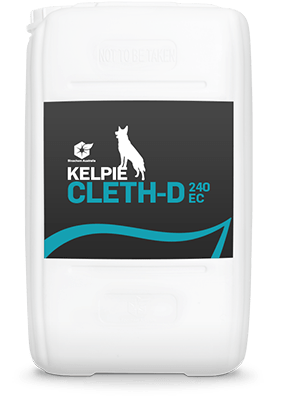 KELPIE® CLETH-D 240 EC