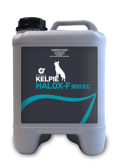 KELPIE® HALOX-F 900 EC